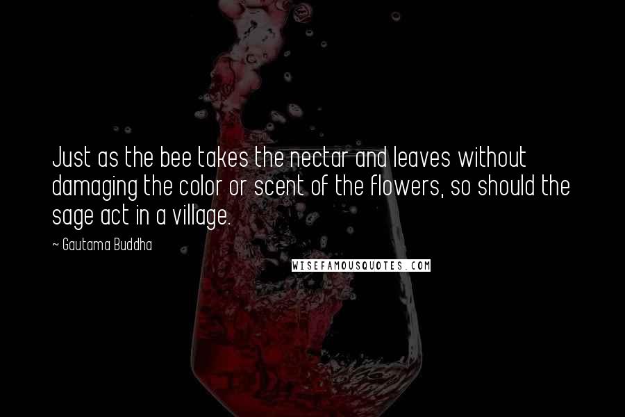 Gautama Buddha Quotes: Just as the bee takes the nectar and leaves without damaging the color or scent of the flowers, so should the sage act in a village.