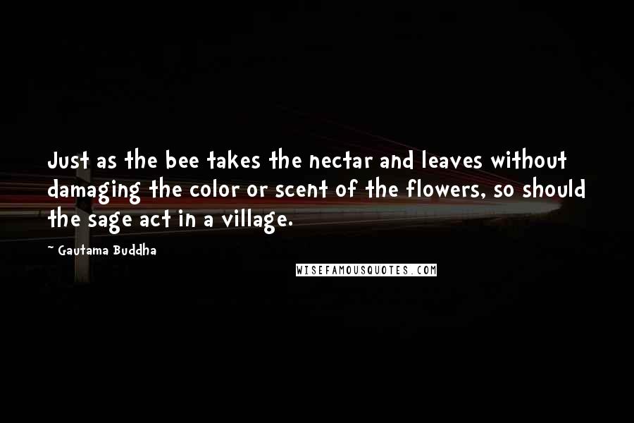 Gautama Buddha Quotes: Just as the bee takes the nectar and leaves without damaging the color or scent of the flowers, so should the sage act in a village.