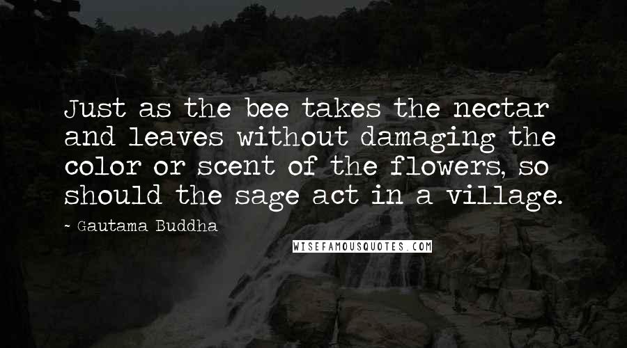 Gautama Buddha Quotes: Just as the bee takes the nectar and leaves without damaging the color or scent of the flowers, so should the sage act in a village.