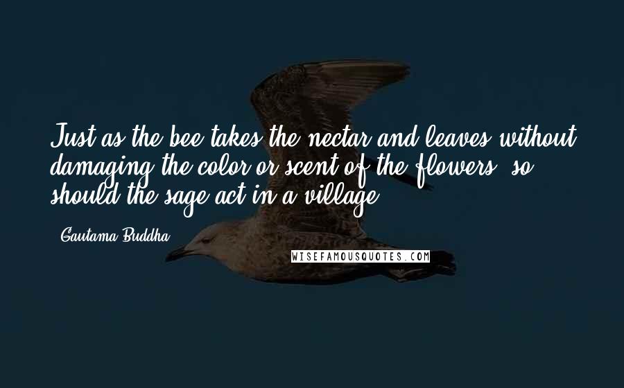 Gautama Buddha Quotes: Just as the bee takes the nectar and leaves without damaging the color or scent of the flowers, so should the sage act in a village.