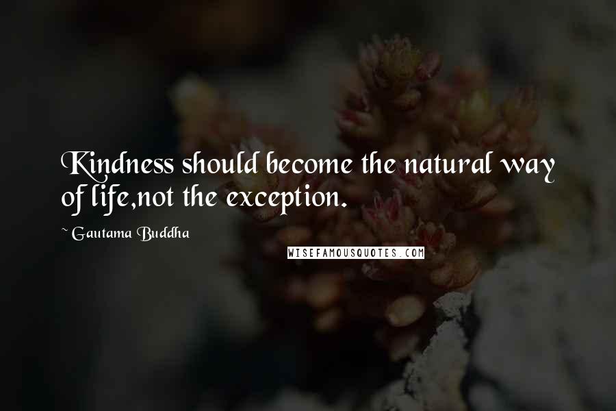 Gautama Buddha Quotes: Kindness should become the natural way of life,not the exception.