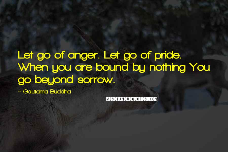 Gautama Buddha Quotes: Let go of anger. Let go of pride. When you are bound by nothing You go beyond sorrow.