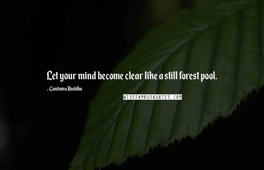 Gautama Buddha Quotes: Let your mind become clear like a still forest pool.