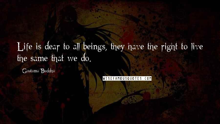 Gautama Buddha Quotes: Life is dear to all beings, they have the right to live the same that we do.