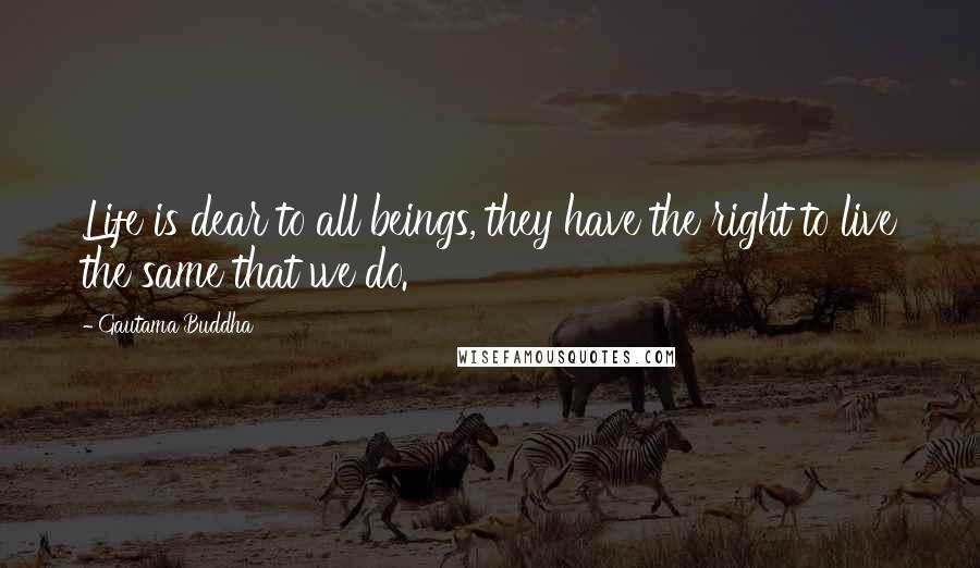 Gautama Buddha Quotes: Life is dear to all beings, they have the right to live the same that we do.