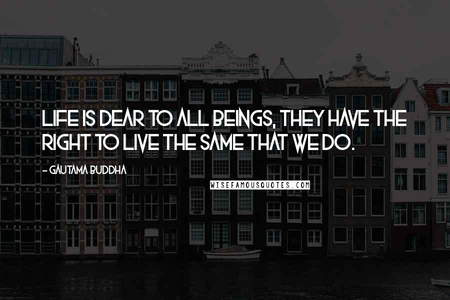 Gautama Buddha Quotes: Life is dear to all beings, they have the right to live the same that we do.