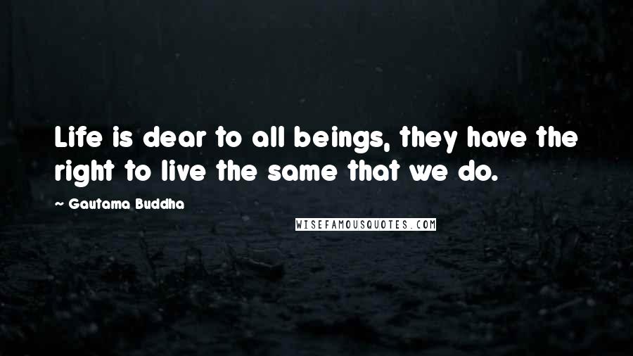 Gautama Buddha Quotes: Life is dear to all beings, they have the right to live the same that we do.