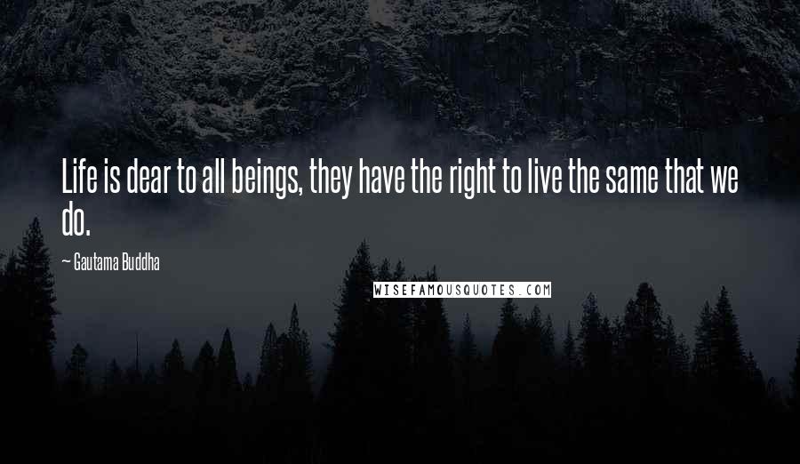 Gautama Buddha Quotes: Life is dear to all beings, they have the right to live the same that we do.