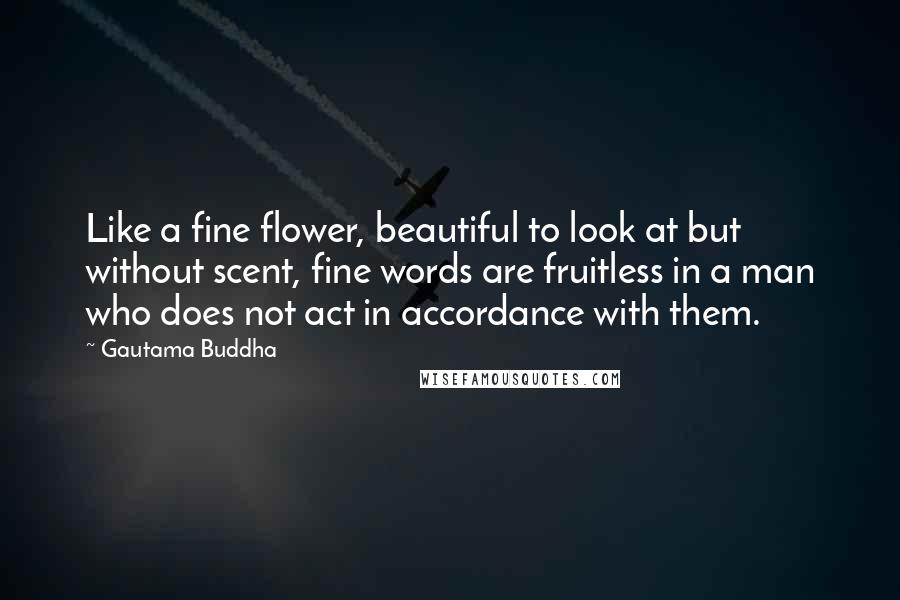 Gautama Buddha Quotes: Like a fine flower, beautiful to look at but without scent, fine words are fruitless in a man who does not act in accordance with them.