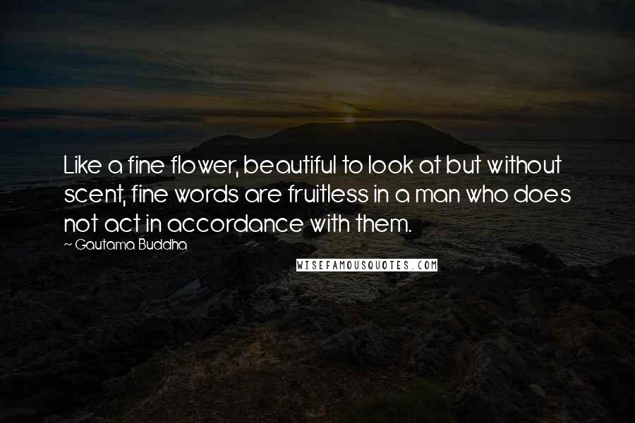 Gautama Buddha Quotes: Like a fine flower, beautiful to look at but without scent, fine words are fruitless in a man who does not act in accordance with them.