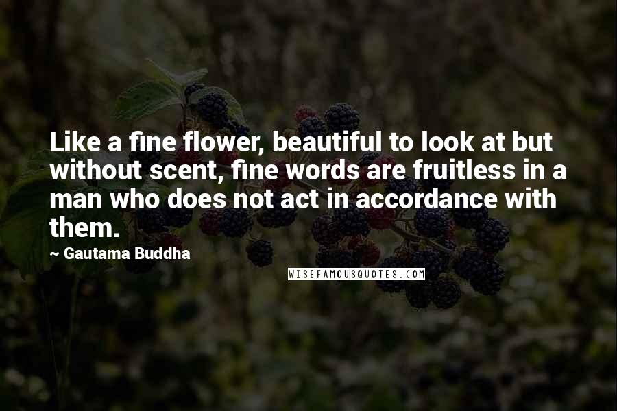 Gautama Buddha Quotes: Like a fine flower, beautiful to look at but without scent, fine words are fruitless in a man who does not act in accordance with them.