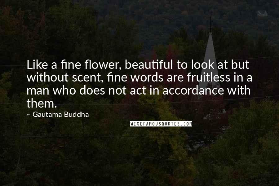 Gautama Buddha Quotes: Like a fine flower, beautiful to look at but without scent, fine words are fruitless in a man who does not act in accordance with them.