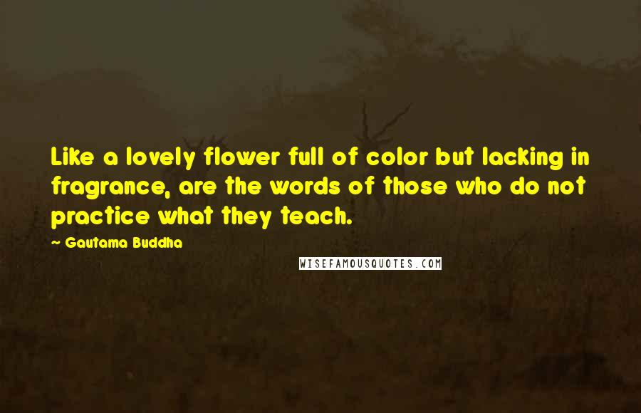 Gautama Buddha Quotes: Like a lovely flower full of color but lacking in fragrance, are the words of those who do not practice what they teach.