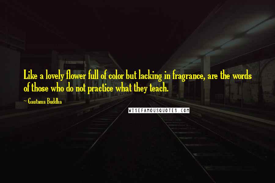 Gautama Buddha Quotes: Like a lovely flower full of color but lacking in fragrance, are the words of those who do not practice what they teach.