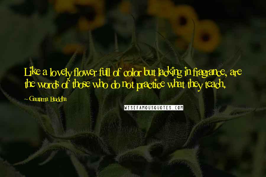 Gautama Buddha Quotes: Like a lovely flower full of color but lacking in fragrance, are the words of those who do not practice what they teach.