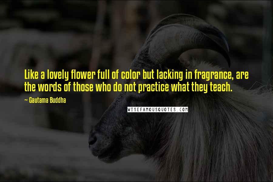 Gautama Buddha Quotes: Like a lovely flower full of color but lacking in fragrance, are the words of those who do not practice what they teach.