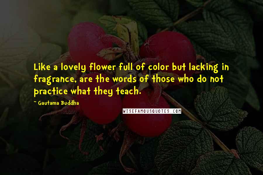 Gautama Buddha Quotes: Like a lovely flower full of color but lacking in fragrance, are the words of those who do not practice what they teach.