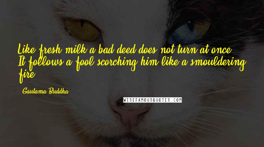 Gautama Buddha Quotes: Like fresh milk a bad deed does not turn at once. It follows a fool scorching him like a smouldering fire.