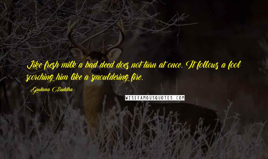 Gautama Buddha Quotes: Like fresh milk a bad deed does not turn at once. It follows a fool scorching him like a smouldering fire.