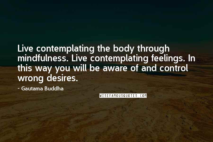 Gautama Buddha Quotes: Live contemplating the body through mindfulness. Live contemplating feelings. In this way you will be aware of and control wrong desires.