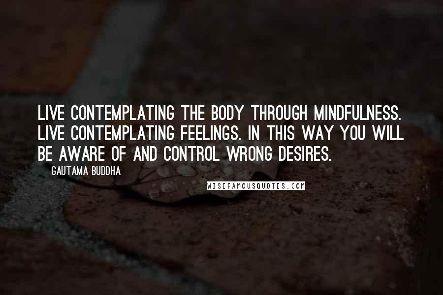 Gautama Buddha Quotes: Live contemplating the body through mindfulness. Live contemplating feelings. In this way you will be aware of and control wrong desires.