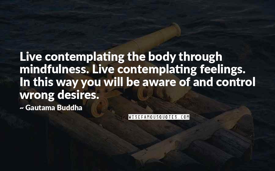 Gautama Buddha Quotes: Live contemplating the body through mindfulness. Live contemplating feelings. In this way you will be aware of and control wrong desires.