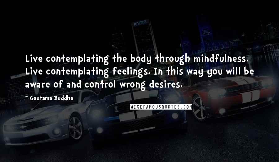 Gautama Buddha Quotes: Live contemplating the body through mindfulness. Live contemplating feelings. In this way you will be aware of and control wrong desires.