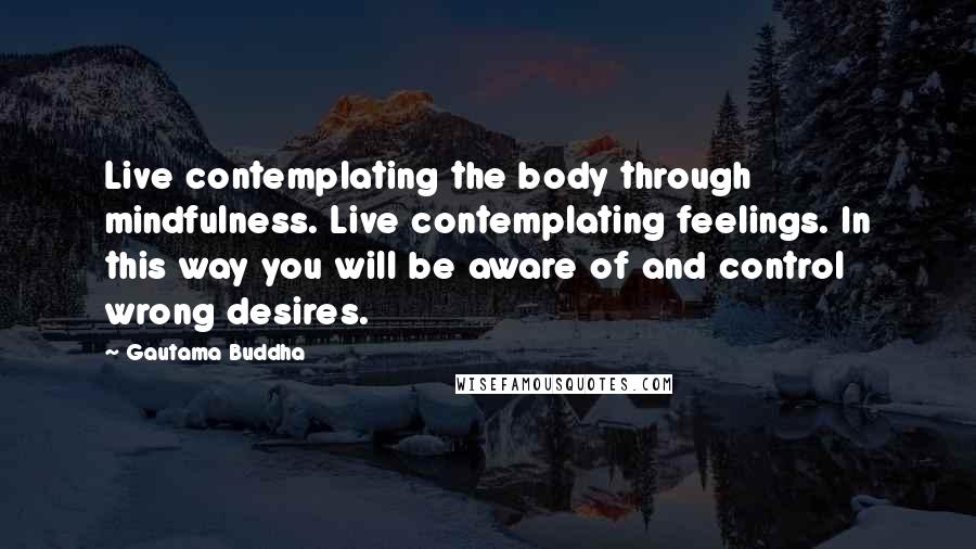 Gautama Buddha Quotes: Live contemplating the body through mindfulness. Live contemplating feelings. In this way you will be aware of and control wrong desires.