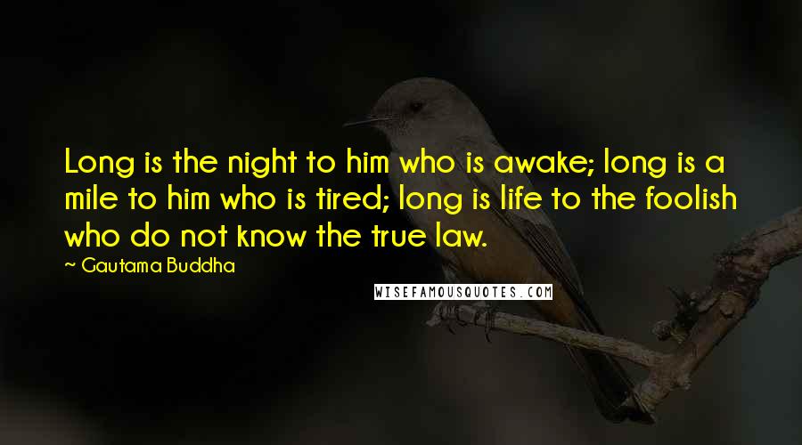 Gautama Buddha Quotes: Long is the night to him who is awake; long is a mile to him who is tired; long is life to the foolish who do not know the true law.