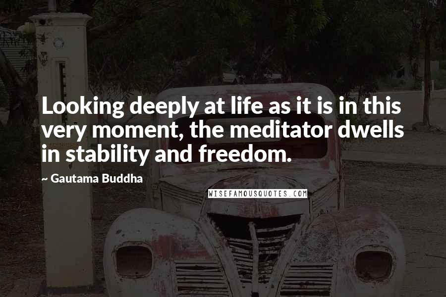 Gautama Buddha Quotes: Looking deeply at life as it is in this very moment, the meditator dwells in stability and freedom.