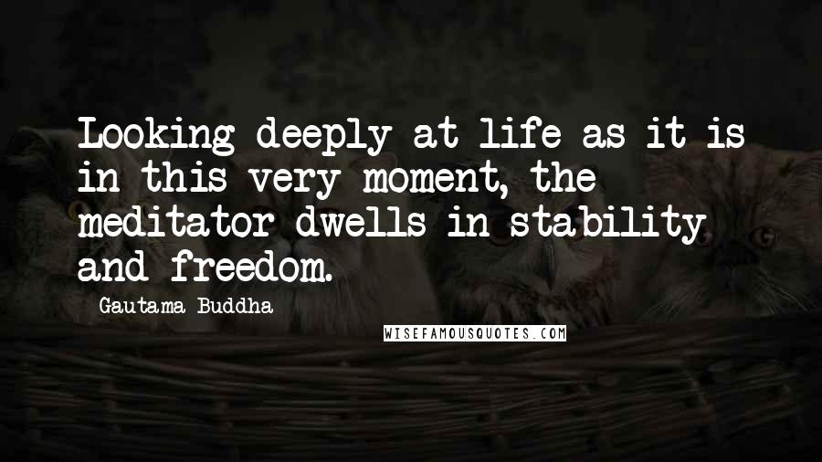 Gautama Buddha Quotes: Looking deeply at life as it is in this very moment, the meditator dwells in stability and freedom.