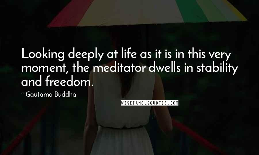 Gautama Buddha Quotes: Looking deeply at life as it is in this very moment, the meditator dwells in stability and freedom.