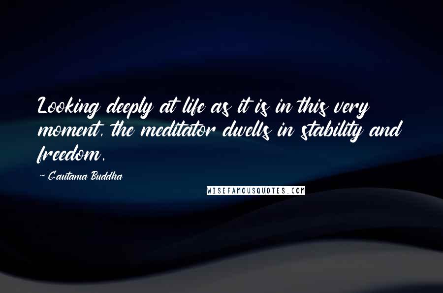 Gautama Buddha Quotes: Looking deeply at life as it is in this very moment, the meditator dwells in stability and freedom.