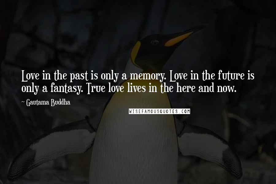 Gautama Buddha Quotes: Love in the past is only a memory. Love in the future is only a fantasy. True love lives in the here and now.