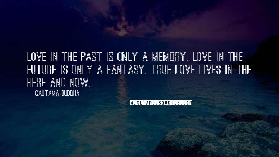 Gautama Buddha Quotes: Love in the past is only a memory. Love in the future is only a fantasy. True love lives in the here and now.