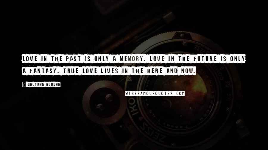 Gautama Buddha Quotes: Love in the past is only a memory. Love in the future is only a fantasy. True love lives in the here and now.