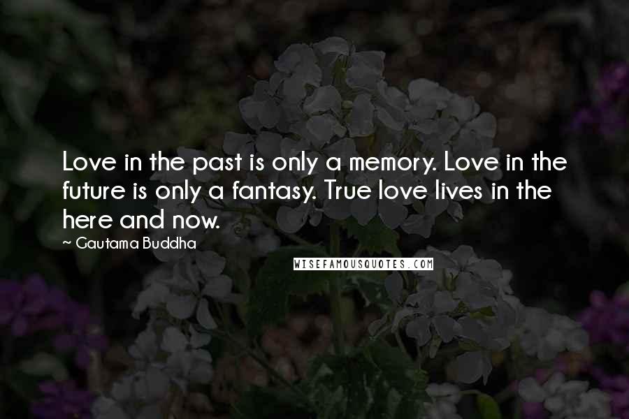 Gautama Buddha Quotes: Love in the past is only a memory. Love in the future is only a fantasy. True love lives in the here and now.