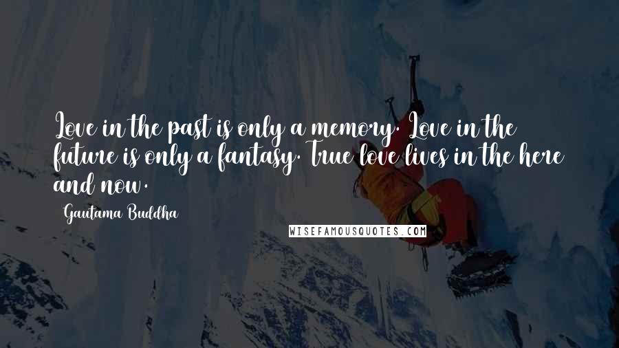 Gautama Buddha Quotes: Love in the past is only a memory. Love in the future is only a fantasy. True love lives in the here and now.