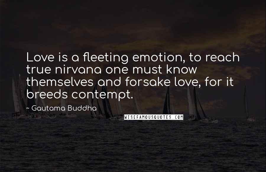 Gautama Buddha Quotes: Love is a fleeting emotion, to reach true nirvana one must know themselves and forsake love, for it breeds contempt.