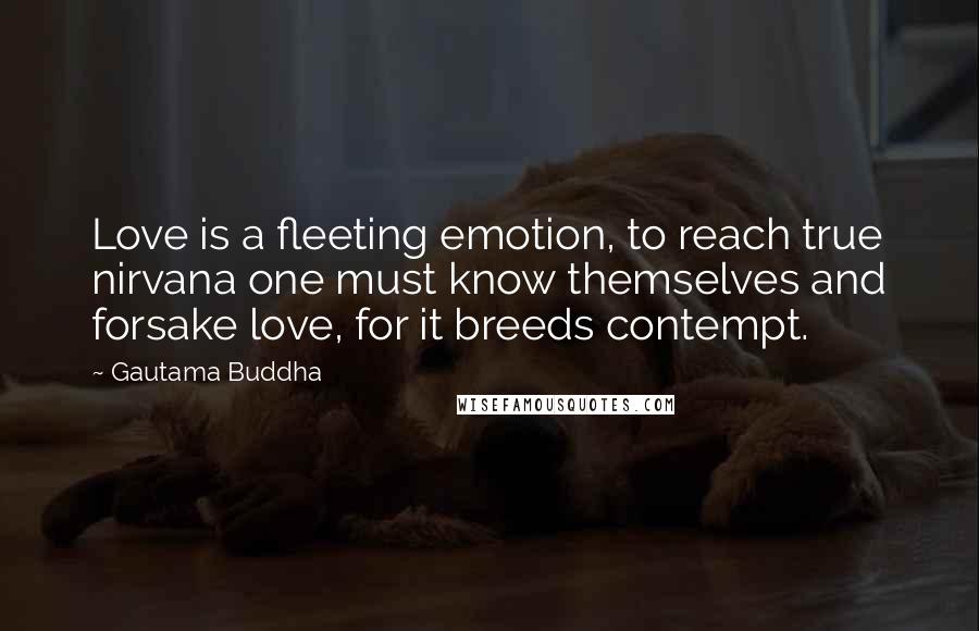 Gautama Buddha Quotes: Love is a fleeting emotion, to reach true nirvana one must know themselves and forsake love, for it breeds contempt.