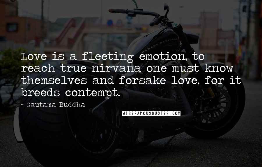 Gautama Buddha Quotes: Love is a fleeting emotion, to reach true nirvana one must know themselves and forsake love, for it breeds contempt.