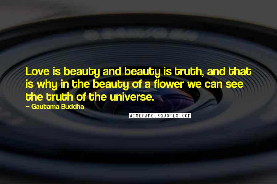 Gautama Buddha Quotes: Love is beauty and beauty is truth, and that is why in the beauty of a flower we can see the truth of the universe.