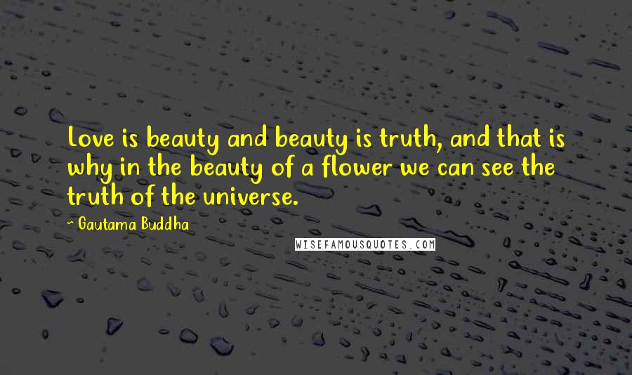 Gautama Buddha Quotes: Love is beauty and beauty is truth, and that is why in the beauty of a flower we can see the truth of the universe.