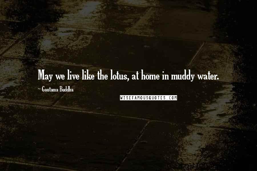 Gautama Buddha Quotes: May we live like the lotus, at home in muddy water.