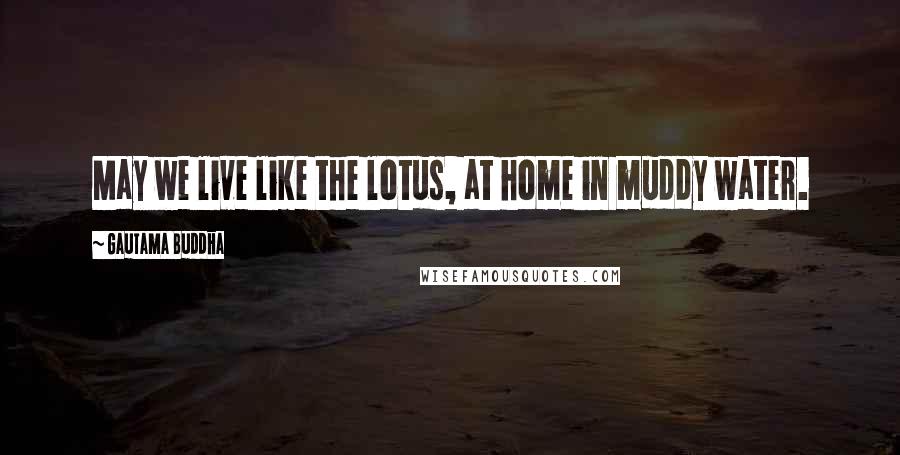 Gautama Buddha Quotes: May we live like the lotus, at home in muddy water.