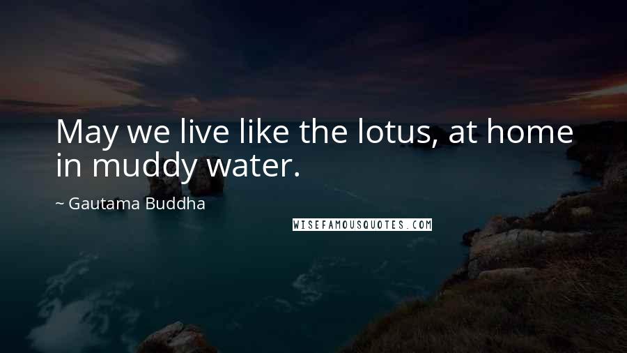 Gautama Buddha Quotes: May we live like the lotus, at home in muddy water.
