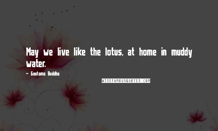 Gautama Buddha Quotes: May we live like the lotus, at home in muddy water.