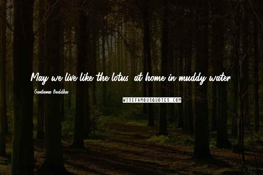 Gautama Buddha Quotes: May we live like the lotus, at home in muddy water.