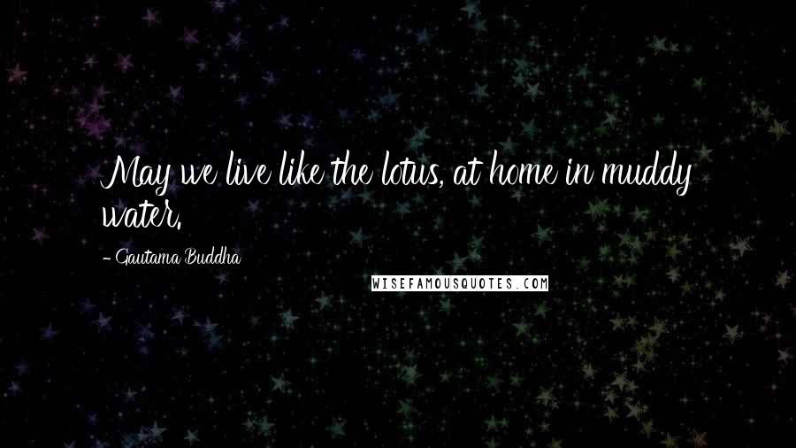 Gautama Buddha Quotes: May we live like the lotus, at home in muddy water.