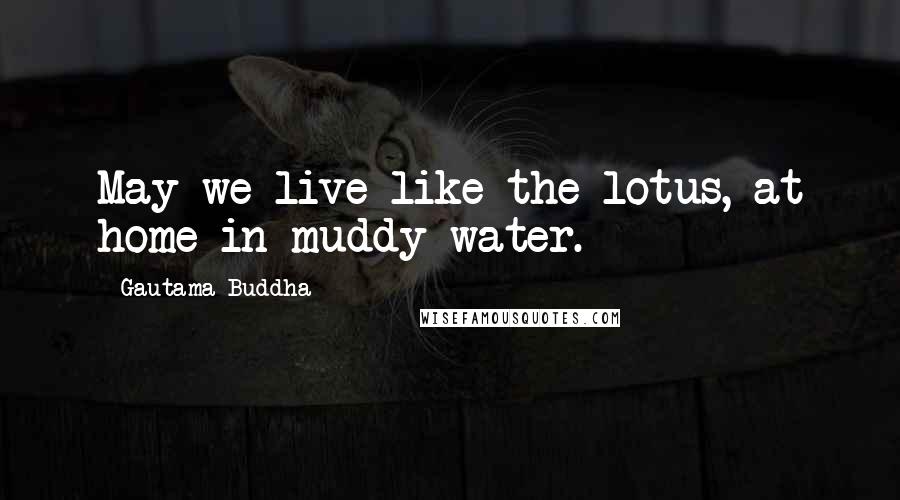 Gautama Buddha Quotes: May we live like the lotus, at home in muddy water.